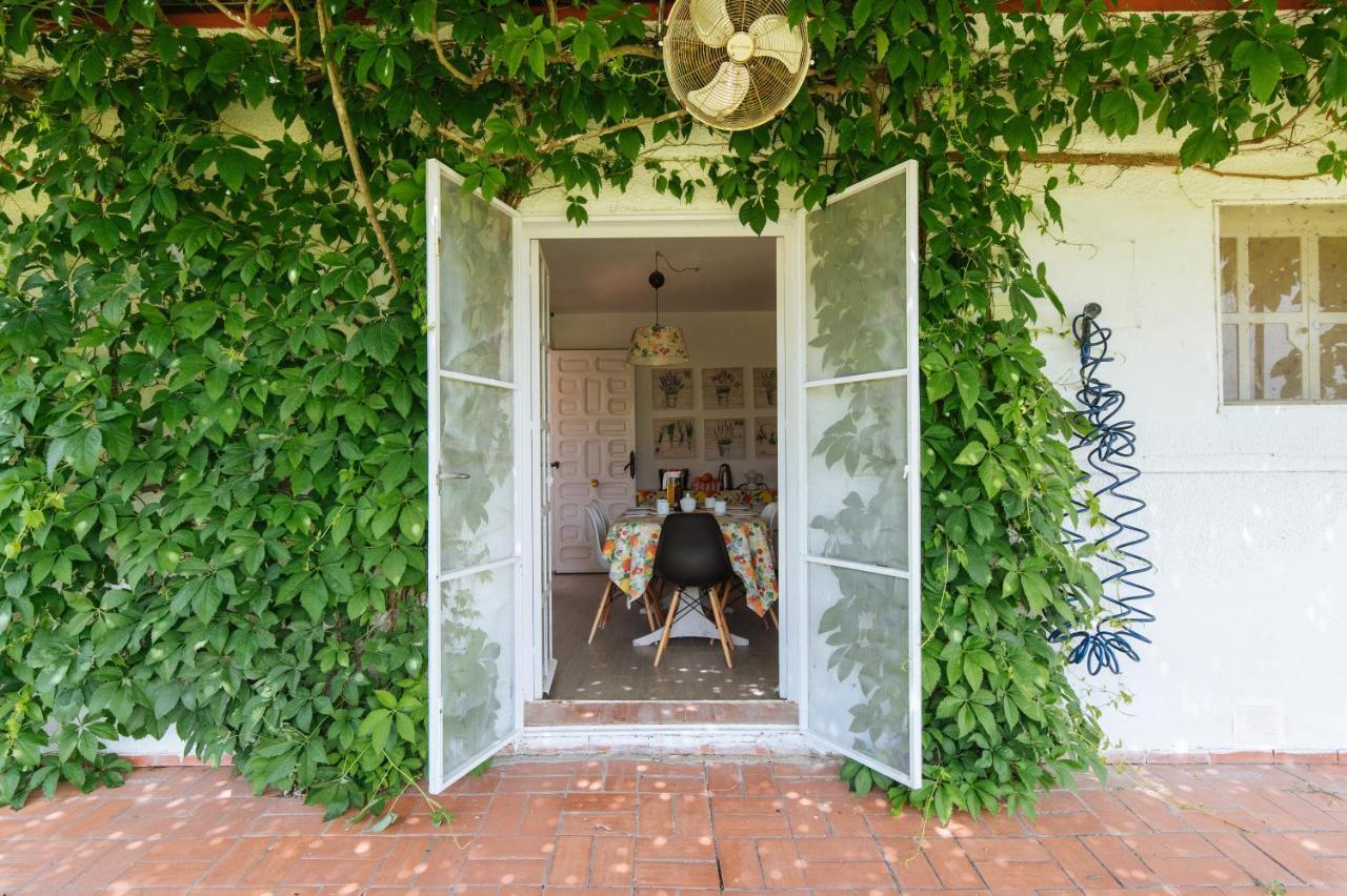 La Casita De Hato Pinos, Un Rincon En Donana Aznalcazar Bagian luar foto